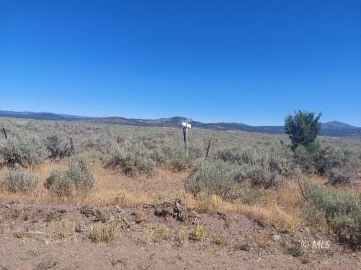 Picture of Residential Land For Sale in Madeline, California, United States