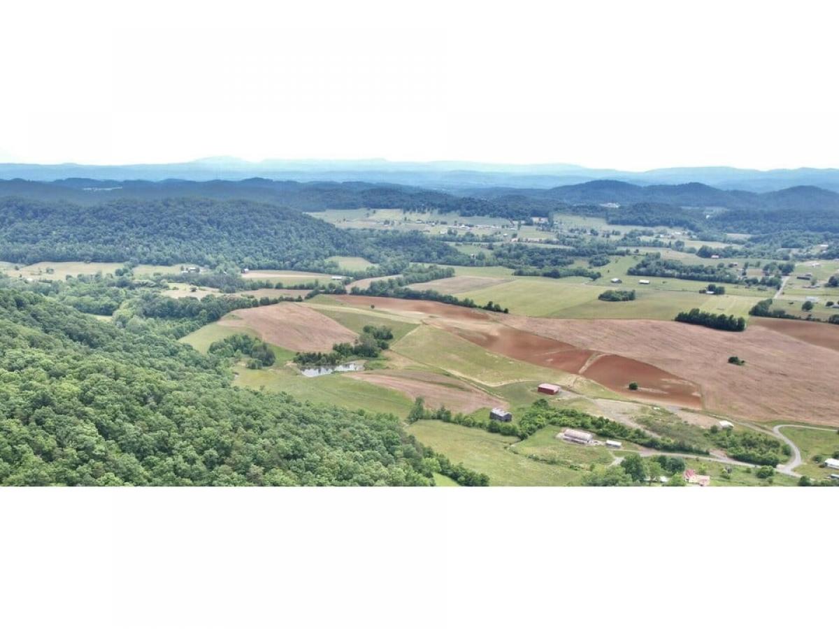 Picture of Residential Land For Sale in Rogersville, Tennessee, United States