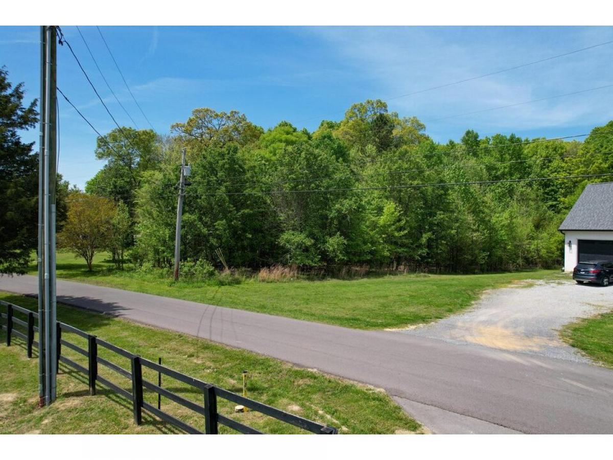 Picture of Residential Land For Sale in White Pine, Tennessee, United States