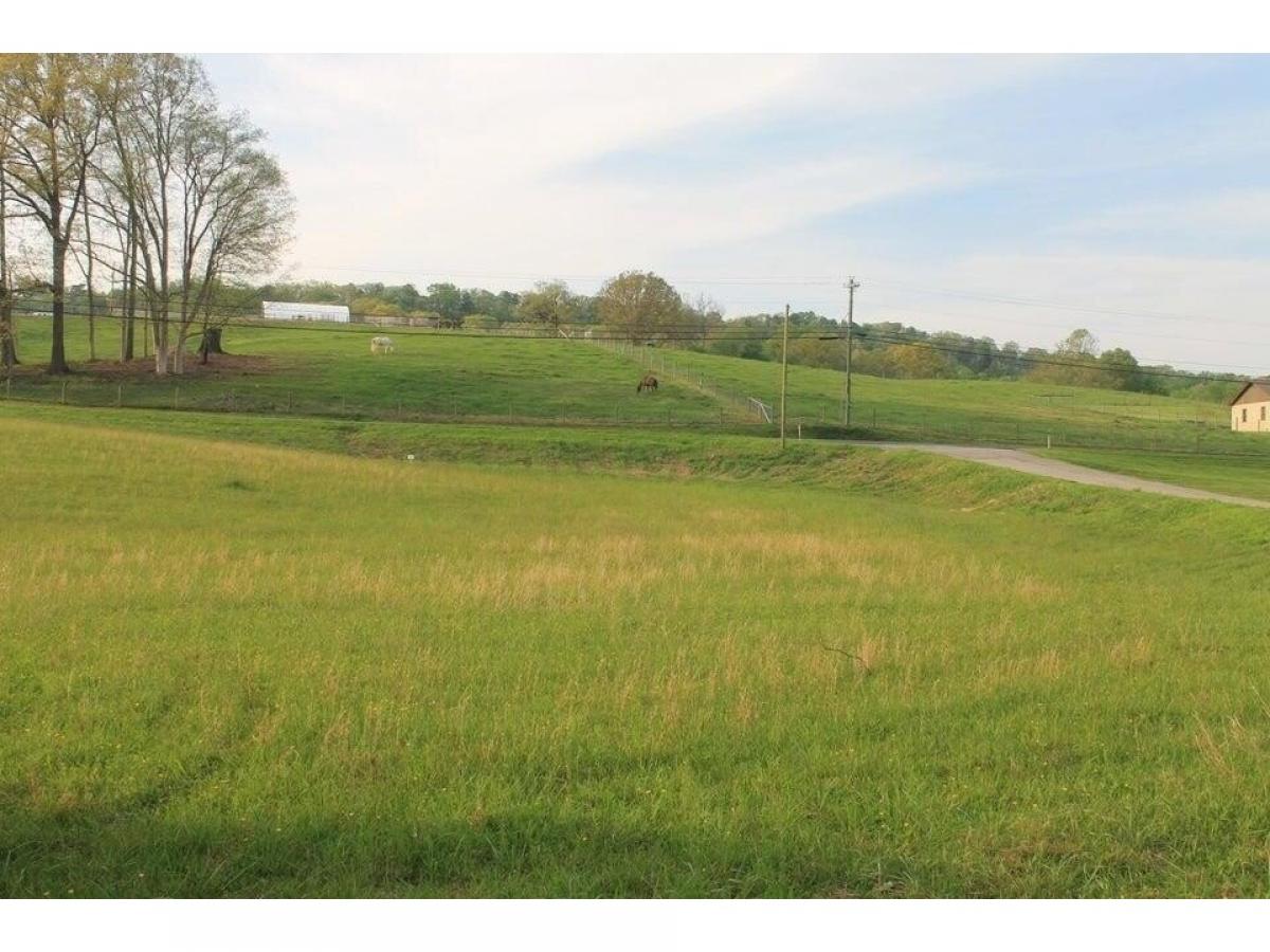 Picture of Residential Land For Sale in Rockford, Tennessee, United States