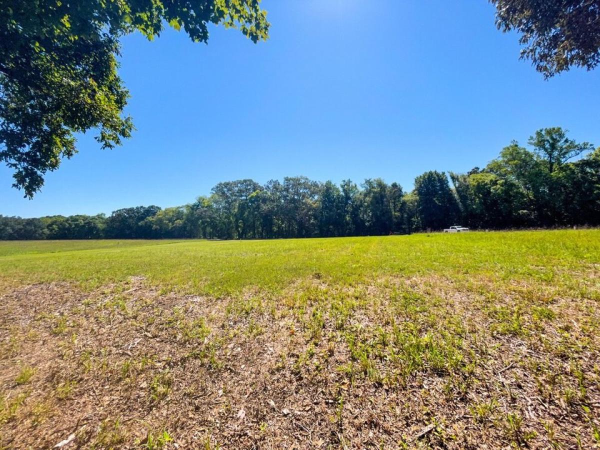 Picture of Residential Land For Sale in White Pine, Tennessee, United States