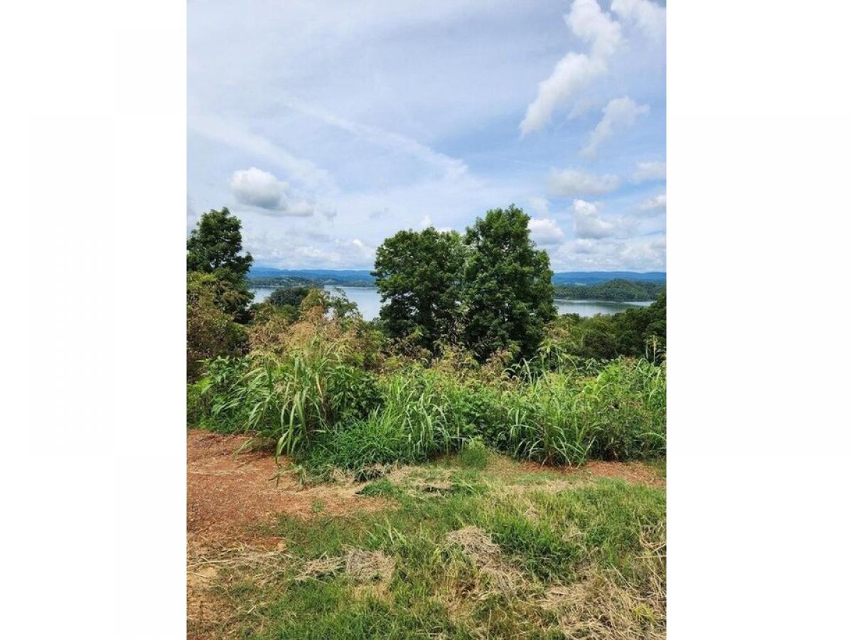 Picture of Residential Land For Sale in Morristown, Tennessee, United States