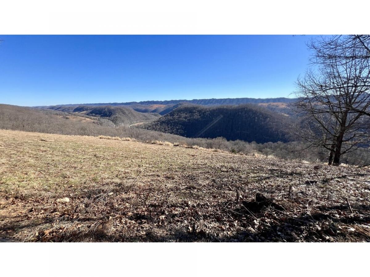 Picture of Residential Land For Sale in Eidson, Tennessee, United States