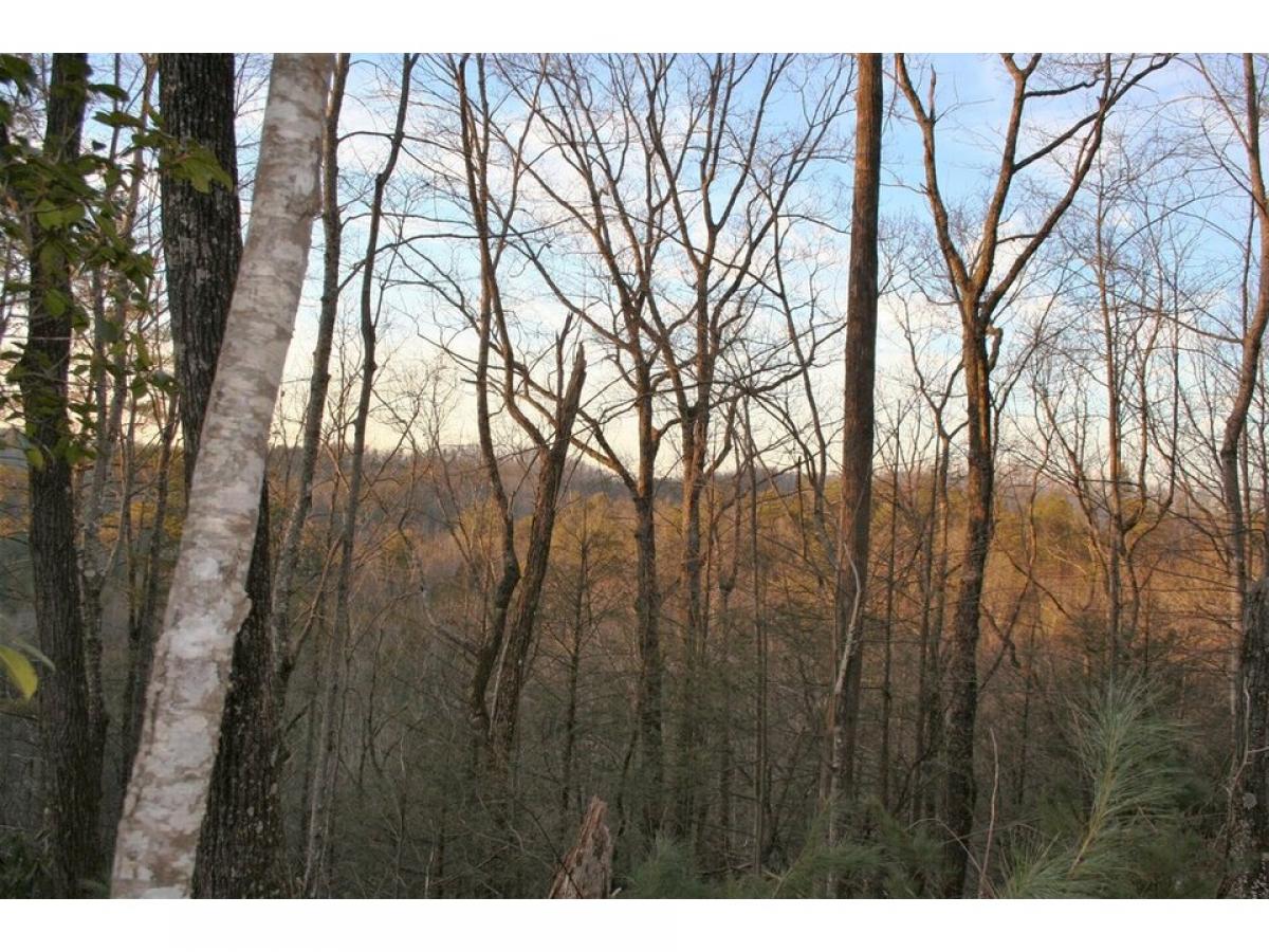 Picture of Residential Land For Sale in Newport, Tennessee, United States