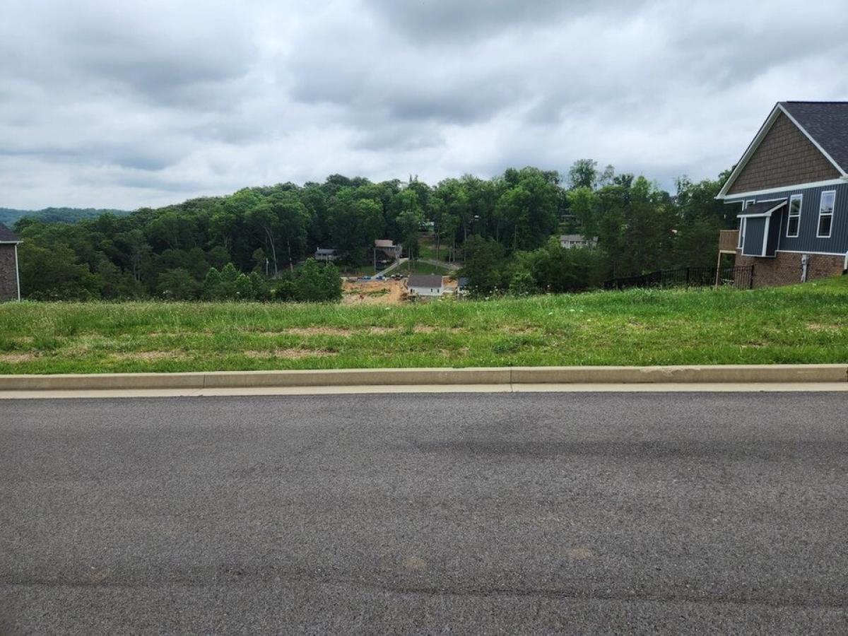 Picture of Residential Land For Sale in Morristown, Tennessee, United States