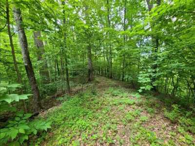 Residential Land For Sale in Cosby, Tennessee