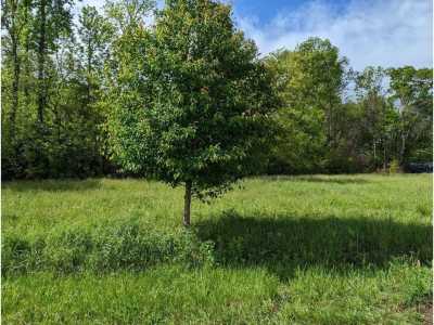 Residential Land For Sale in Newport, Tennessee