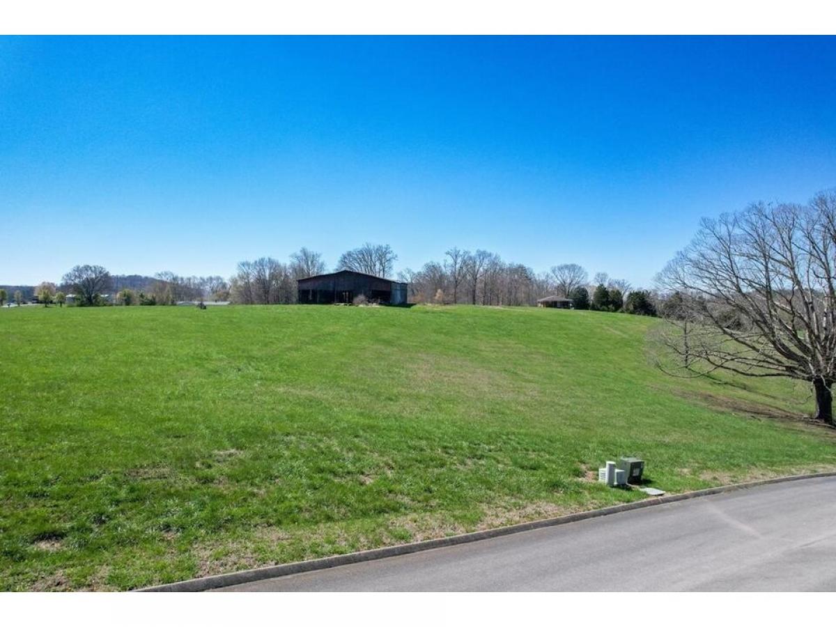 Picture of Residential Land For Sale in Russellville, Tennessee, United States