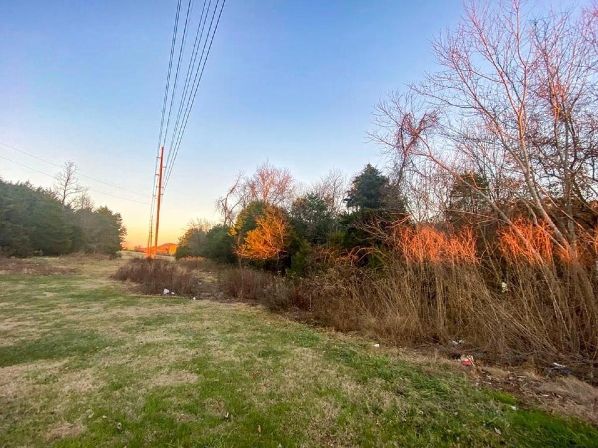 Picture of Residential Land For Sale in Rogersville, Tennessee, United States