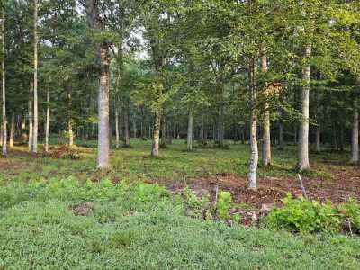 Residential Land For Sale in Dandridge, Tennessee