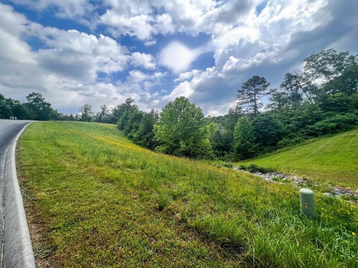 Picture of Residential Land For Sale in Russellville, Tennessee, United States