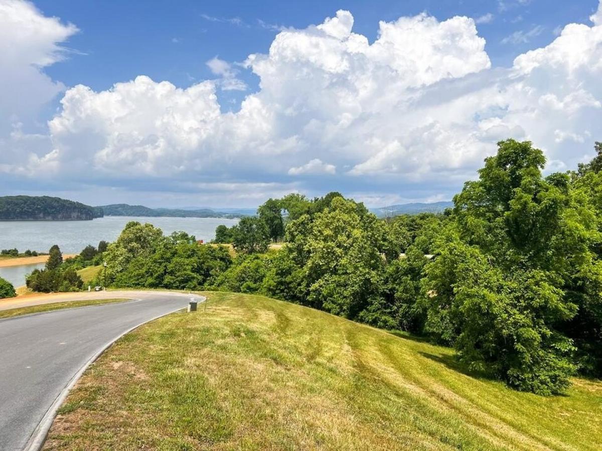 Picture of Residential Land For Sale in Russellville, Tennessee, United States