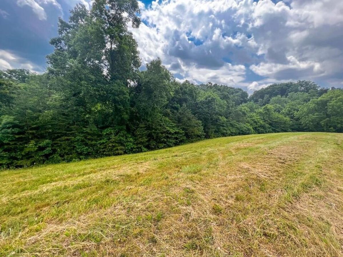 Picture of Residential Land For Sale in Russellville, Tennessee, United States