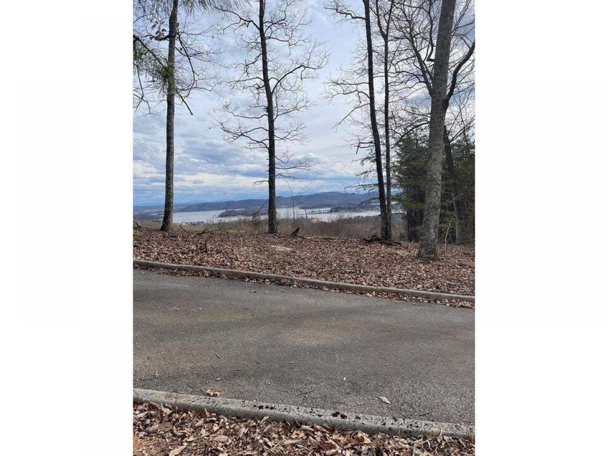 Picture of Residential Land For Sale in Bean Station, Tennessee, United States