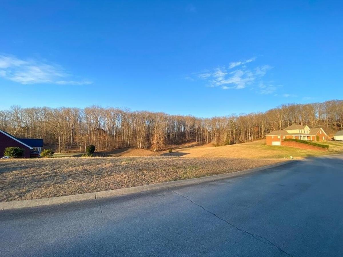 Picture of Residential Land For Sale in Russellville, Tennessee, United States