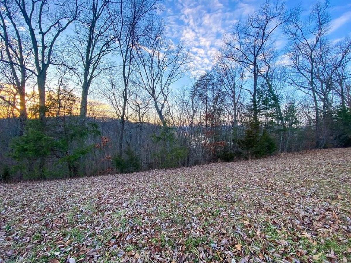 Picture of Residential Land For Sale in Russellville, Tennessee, United States