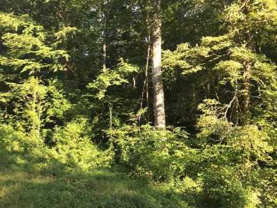 Residential Land For Sale in Morristown, Tennessee