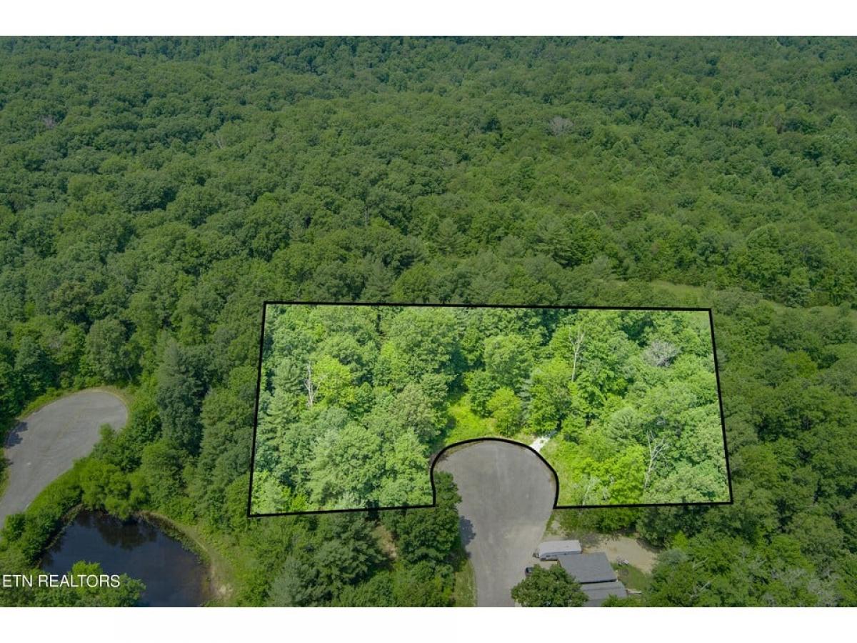 Picture of Residential Land For Sale in Crab Orchard, Tennessee, United States