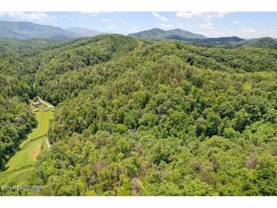 Residential Land For Sale in Cosby, Tennessee