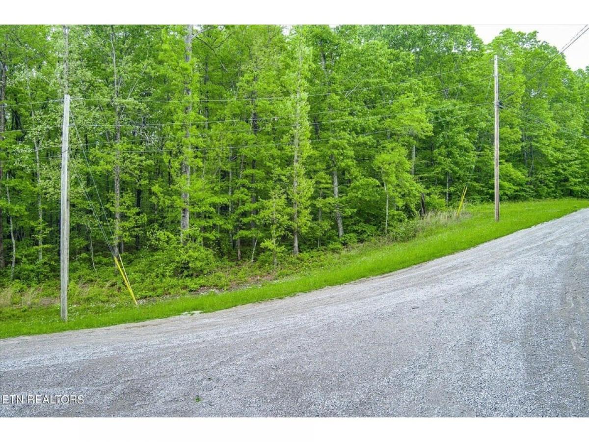 Picture of Residential Land For Sale in Monterey, Tennessee, United States