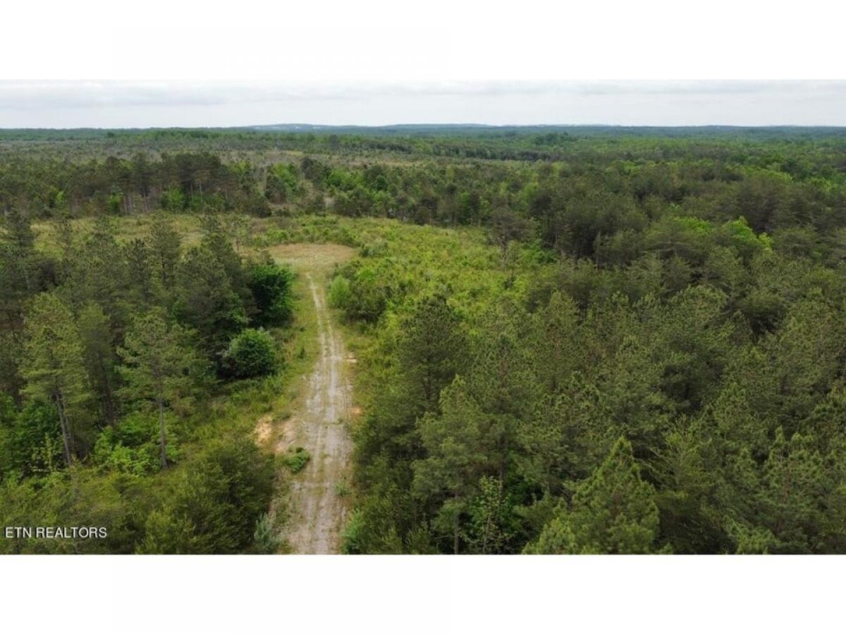 Picture of Residential Land For Sale in Spencer, Tennessee, United States