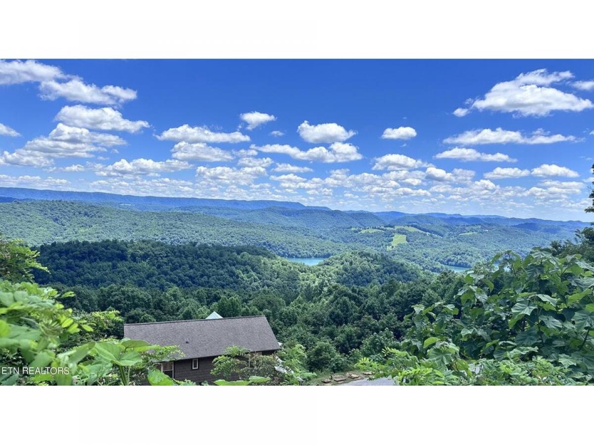 Picture of Residential Land For Sale in New Tazewell, Tennessee, United States