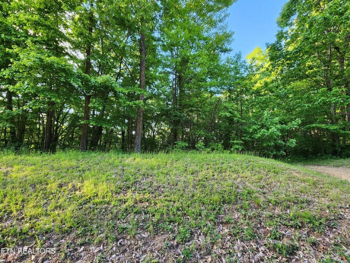 Picture of Residential Land For Sale in Crab Orchard, Tennessee, United States