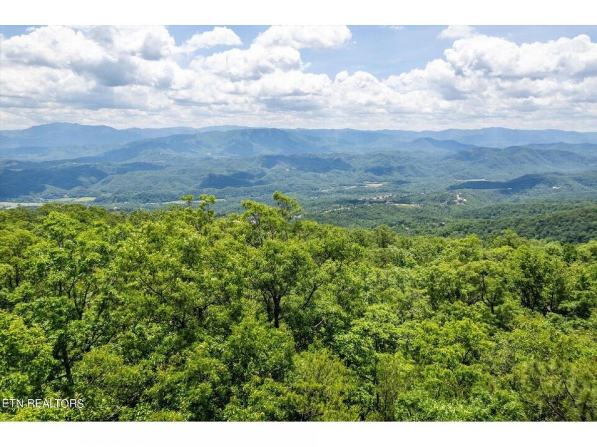 Picture of Residential Land For Sale in Sevierville, Tennessee, United States