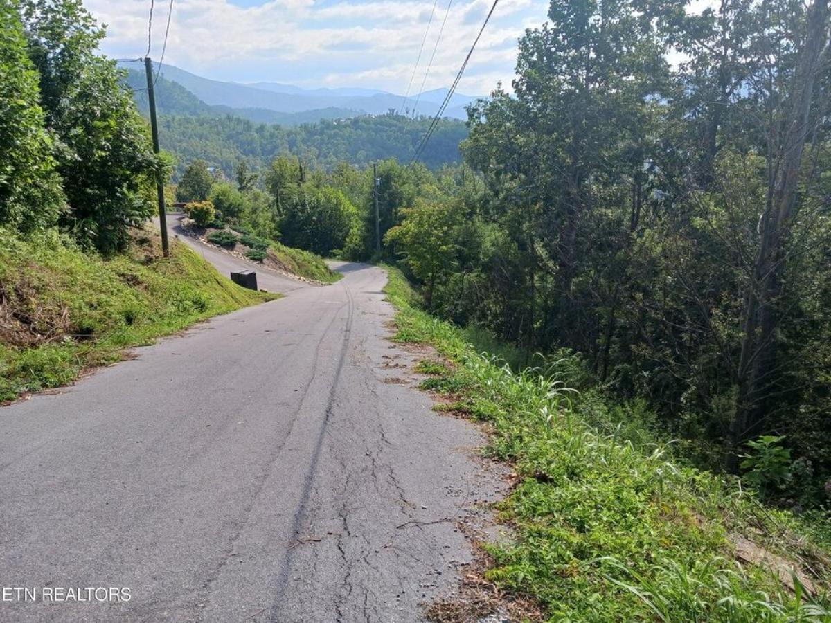 Picture of Residential Land For Sale in Gatlinburg, Tennessee, United States