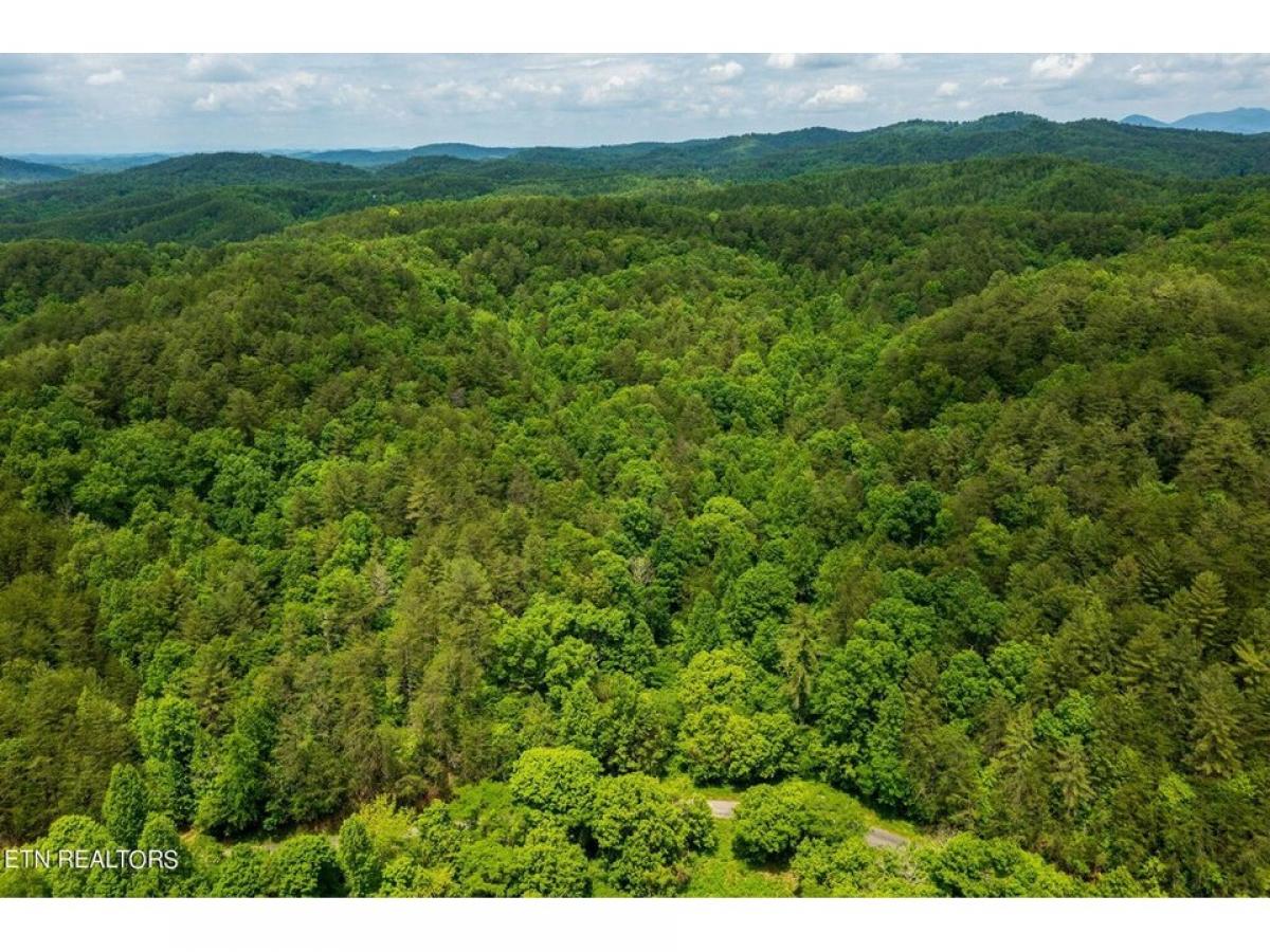 Picture of Residential Land For Sale in Vonore, Tennessee, United States