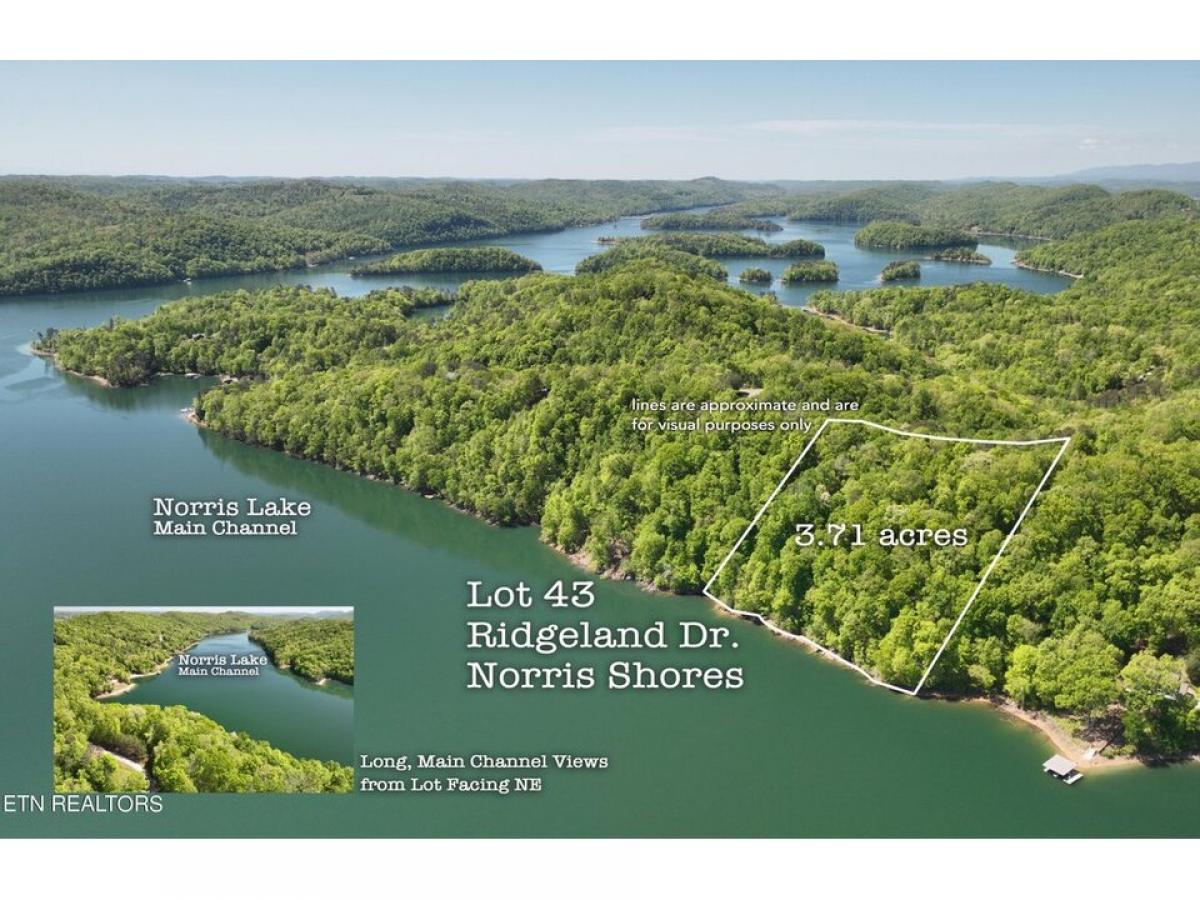 Picture of Residential Land For Sale in Sharps Chapel, Tennessee, United States