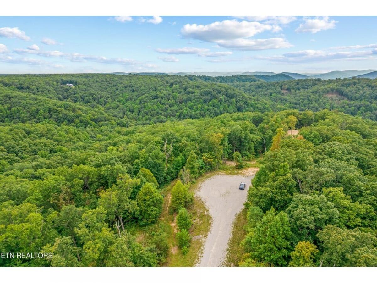 Picture of Residential Land For Sale in Crawford, Tennessee, United States