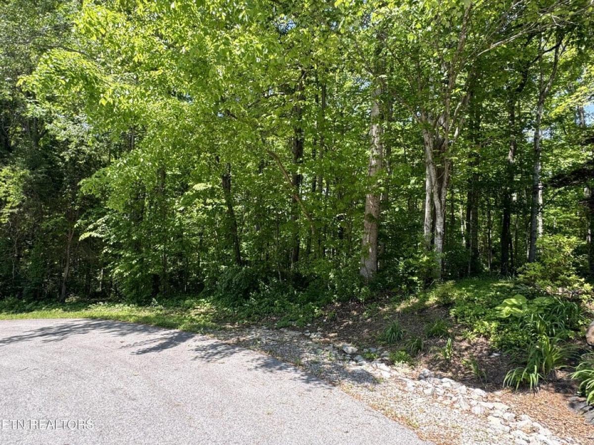 Picture of Residential Land For Sale in Loudon, Tennessee, United States