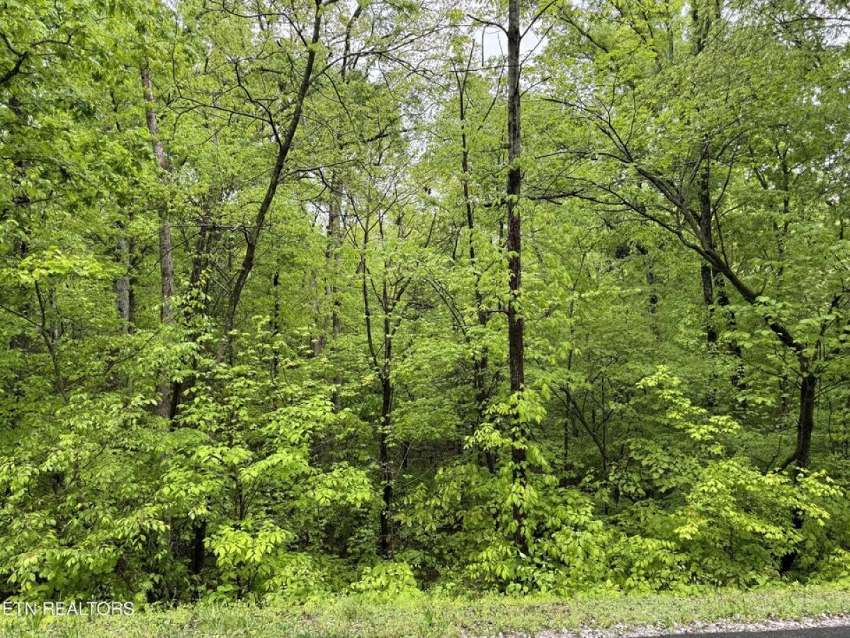 Picture of Residential Land For Sale in Loudon, Tennessee, United States