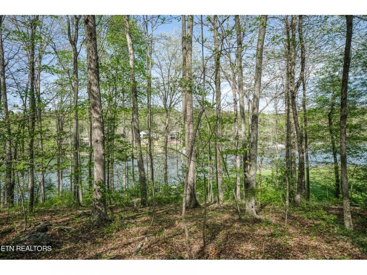 Picture of Residential Land For Sale in Crossville, Tennessee, United States