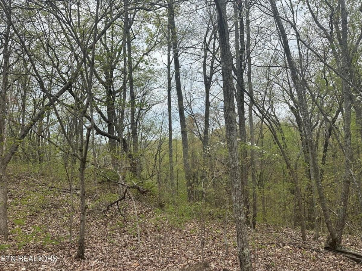 Picture of Residential Land For Sale in Jamestown, Tennessee, United States