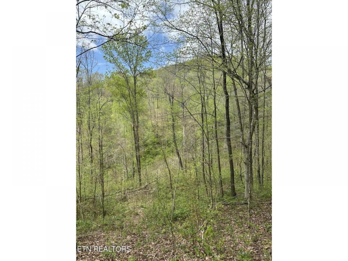 Picture of Residential Land For Sale in Jamestown, Tennessee, United States