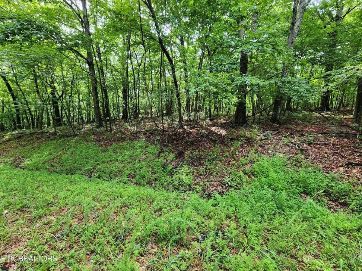 Picture of Residential Land For Sale in Fairfield Glade, Tennessee, United States