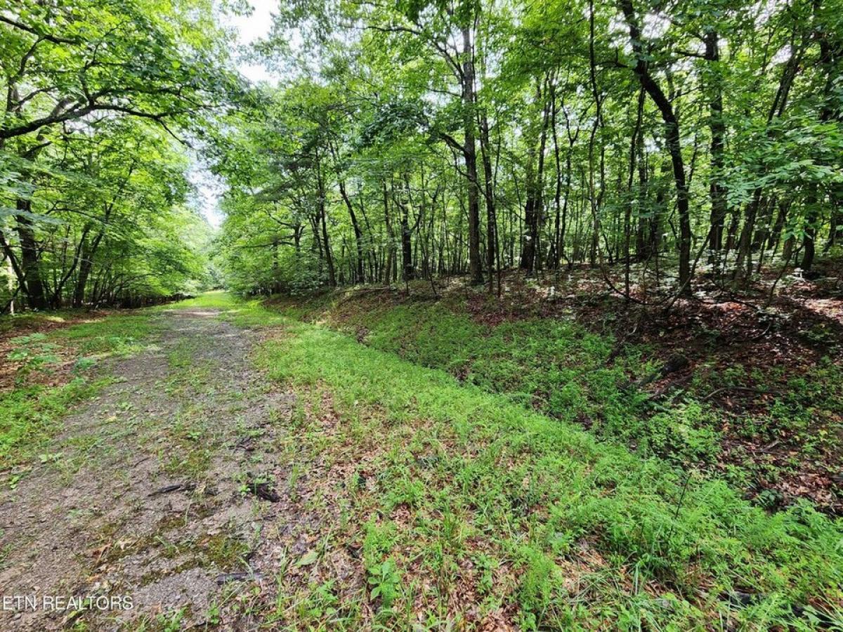 Picture of Residential Land For Rent in Fairfield Glade, Tennessee, United States