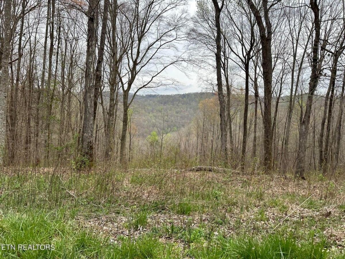 Picture of Residential Land For Sale in Jamestown, Tennessee, United States