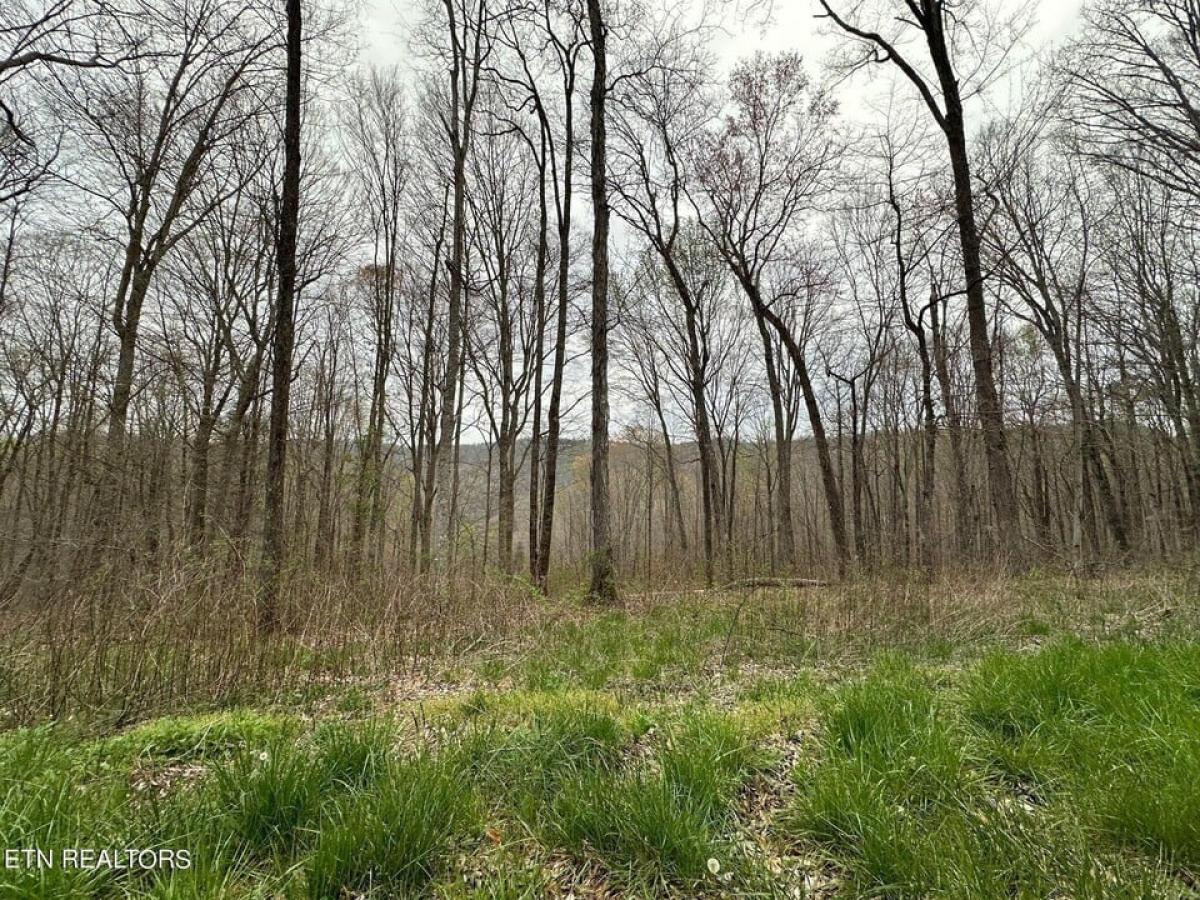 Picture of Residential Land For Sale in Jamestown, Tennessee, United States