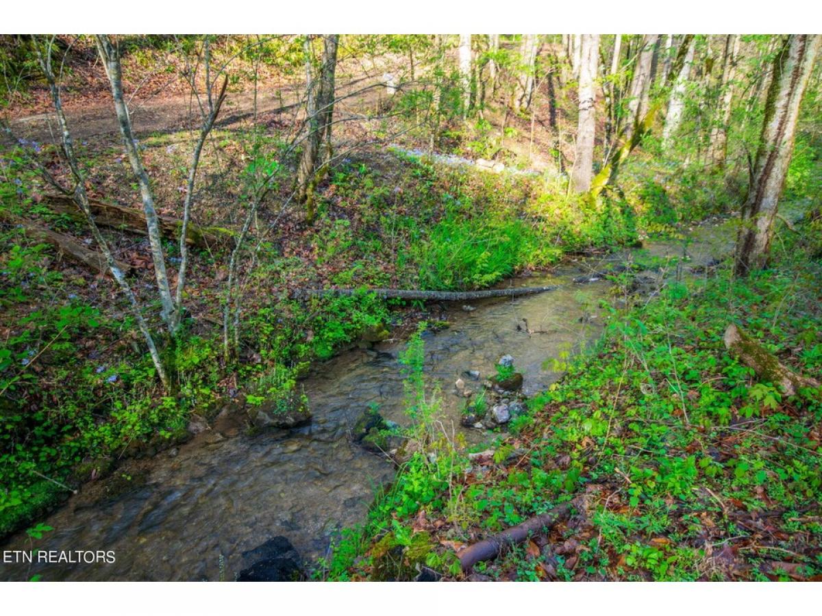 Picture of Residential Land For Sale in Powell, Tennessee, United States