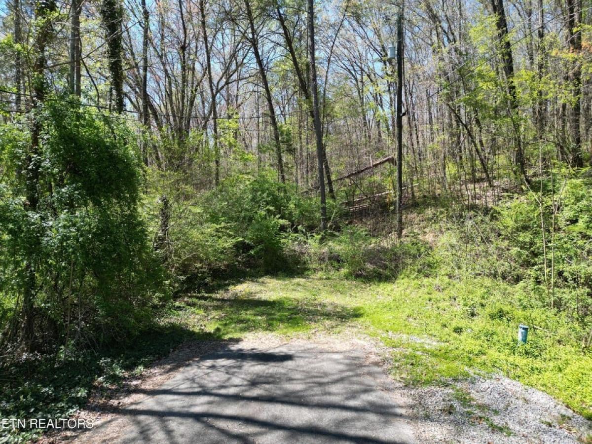 Picture of Residential Land For Sale in Clinton, Tennessee, United States