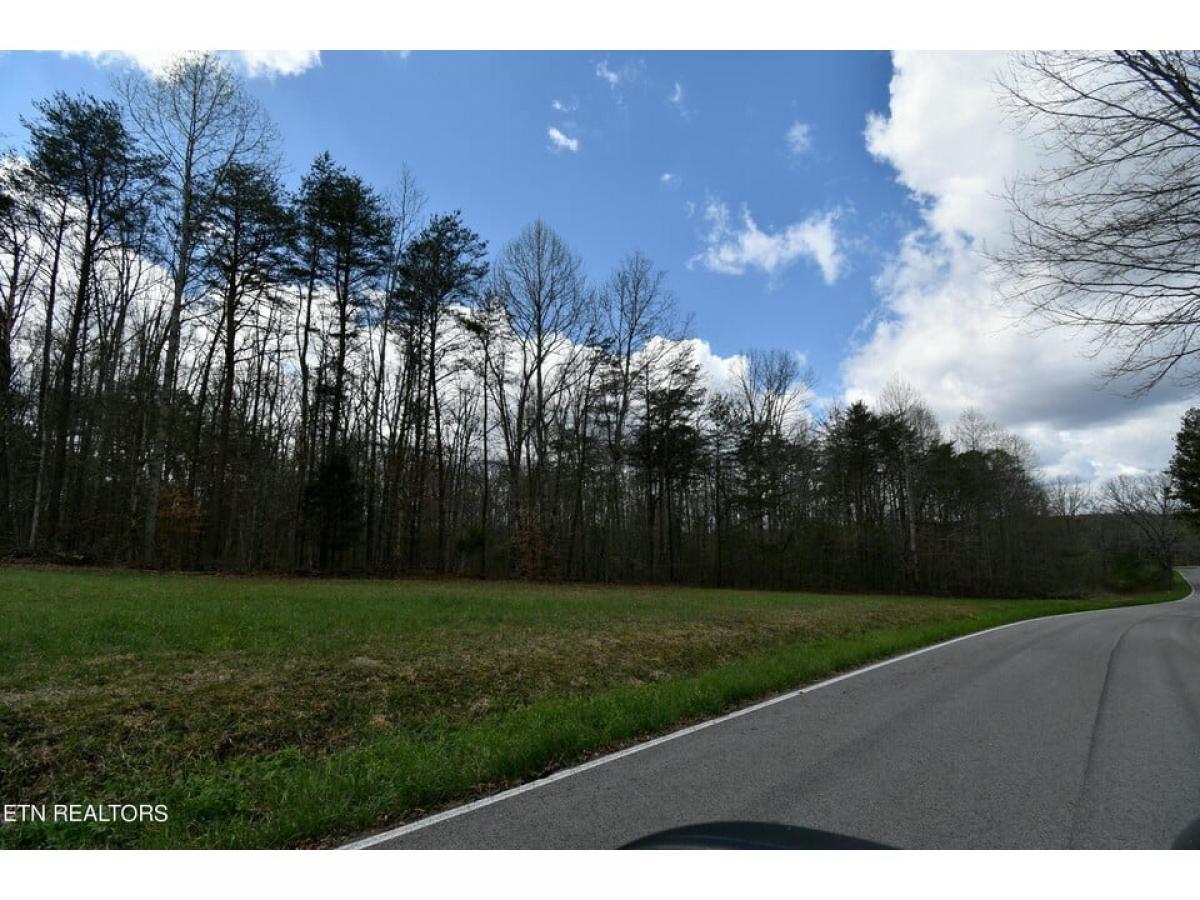 Picture of Residential Land For Sale in Spencer, Tennessee, United States