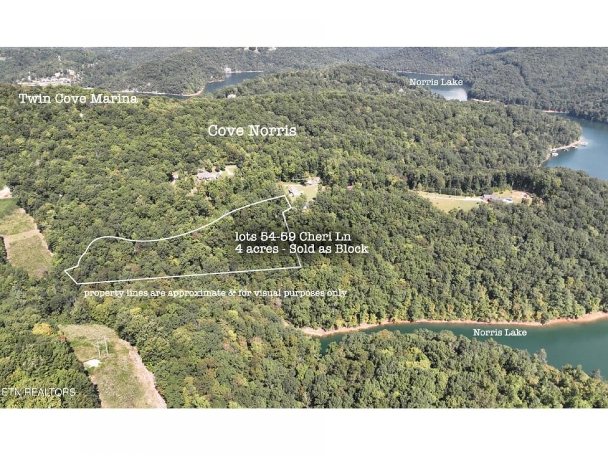 Picture of Residential Land For Sale in Caryville, Tennessee, United States