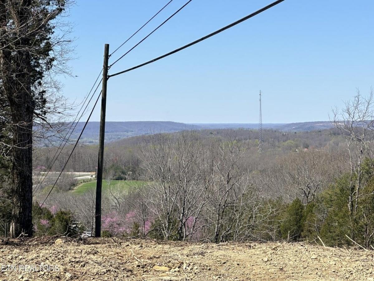 Picture of Residential Land For Sale in Sparta, Tennessee, United States