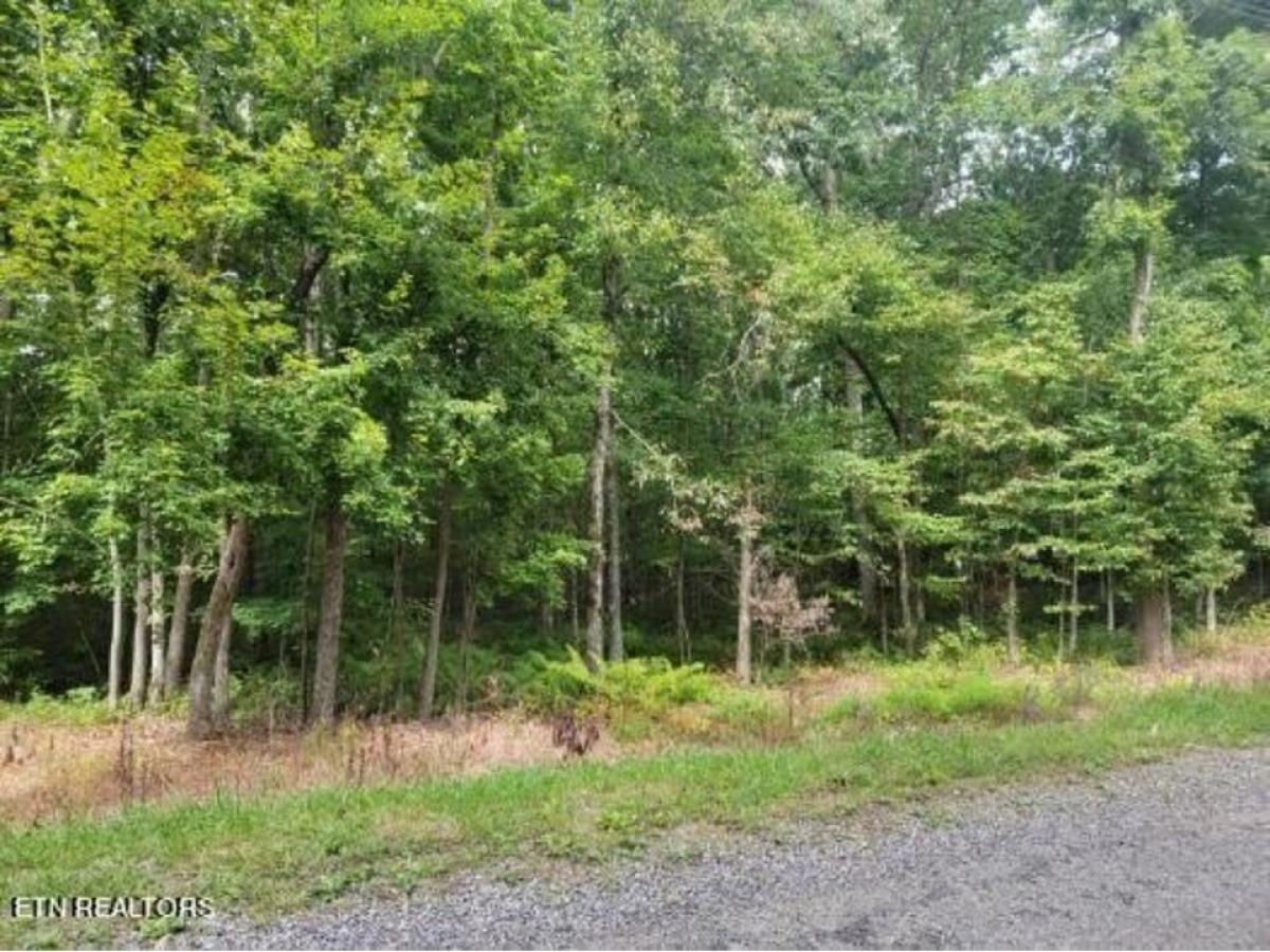 Picture of Residential Land For Sale in Fairfield Glade, Tennessee, United States