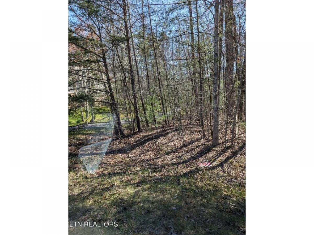 Picture of Residential Land For Sale in Crossville, Tennessee, United States