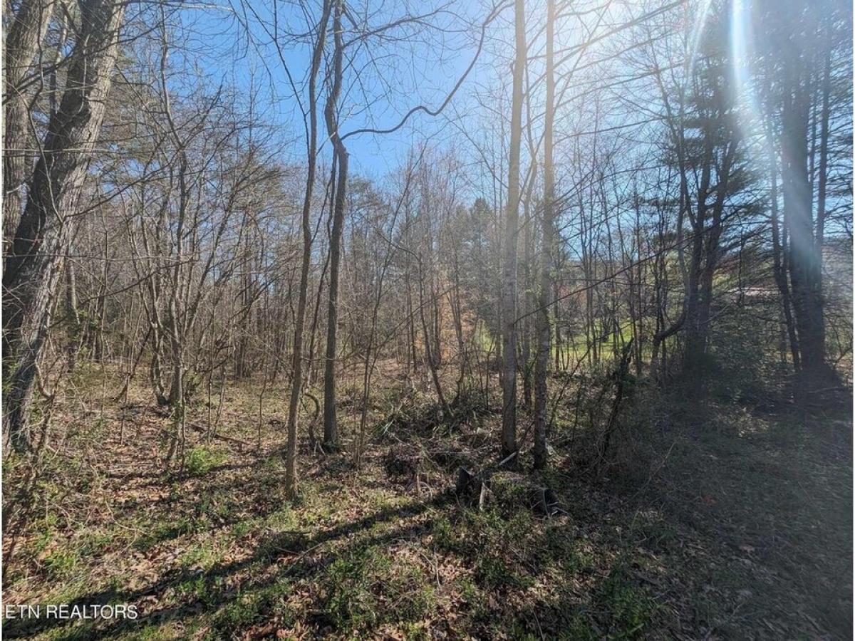 Picture of Residential Land For Sale in Huntsville, Tennessee, United States