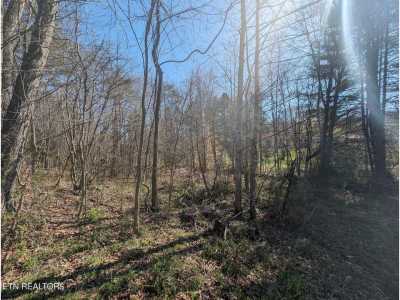 Residential Land For Sale in Huntsville, Tennessee